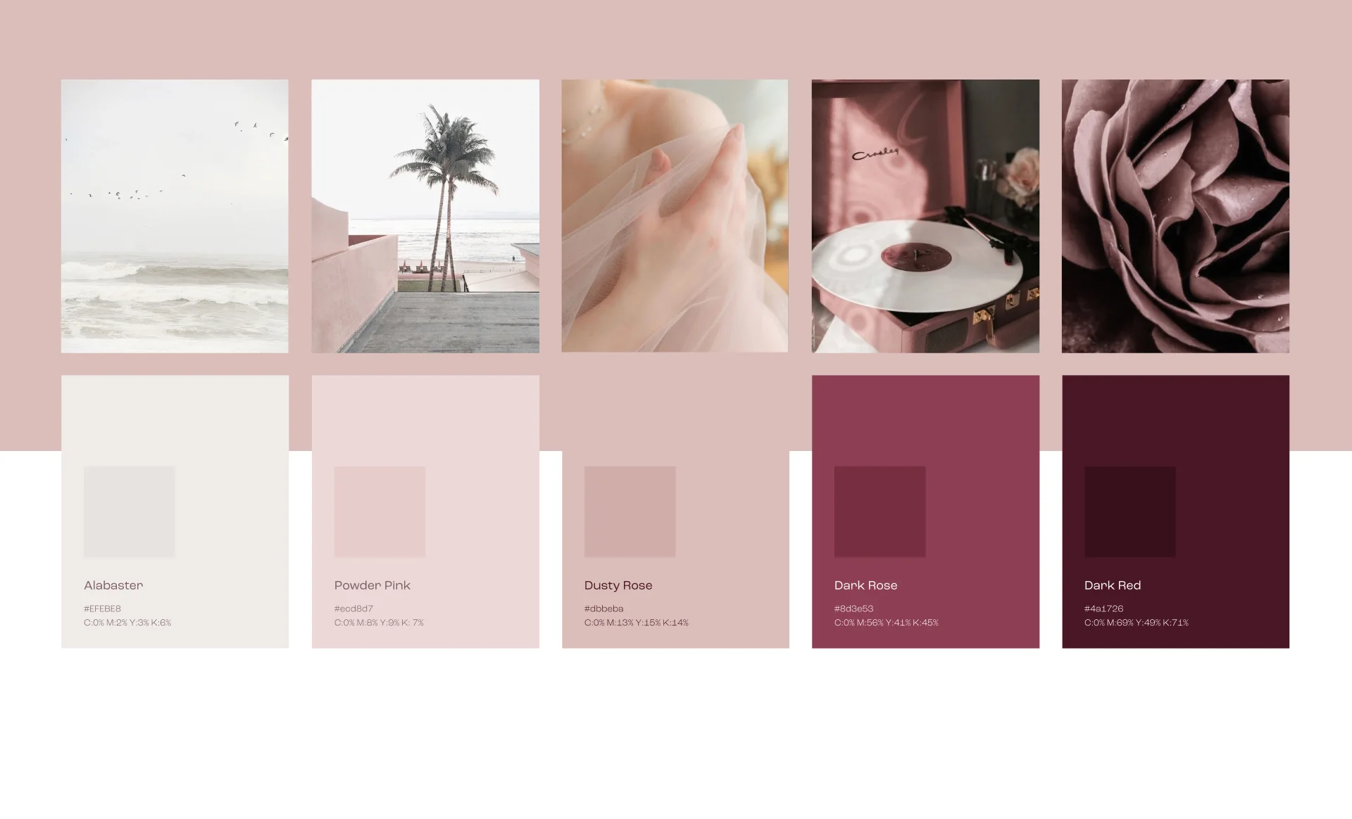 Farebná paleta a moodboard